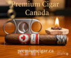 buy premium cigar in canada