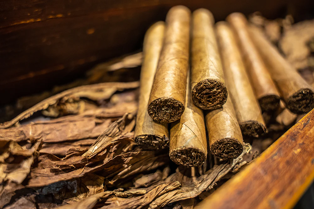 History of Premium Cigars Canada